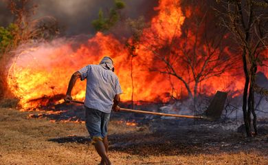 Brasília, DF 15-09-2024 Um Incêndio atingiu o Parque Nacional de Brasília. Bombeiros e populares tentavam conter as chamas Foto: Fabio Rodrigues-Pozzebom/Agência Brasil