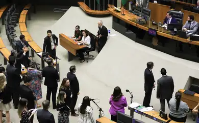 Brasília (DF) 12/09/2024   Sessão da Câmara dos Deputados para conclusão da votação do projeto de lei que propõe uma transição de três anos para o fim da desoneração da folha de pagamentos de 17 setores da economia. Foto Lula Marques/ Agência Brasil