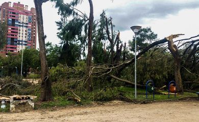 Porto Alegre - Após cinco dias de trabalho para recuperação dos estragos causados pelo temporal da última sexta-feira (29), alguns parques da cidade continuam devastados (Daniel Isaia/Agência Brasil)