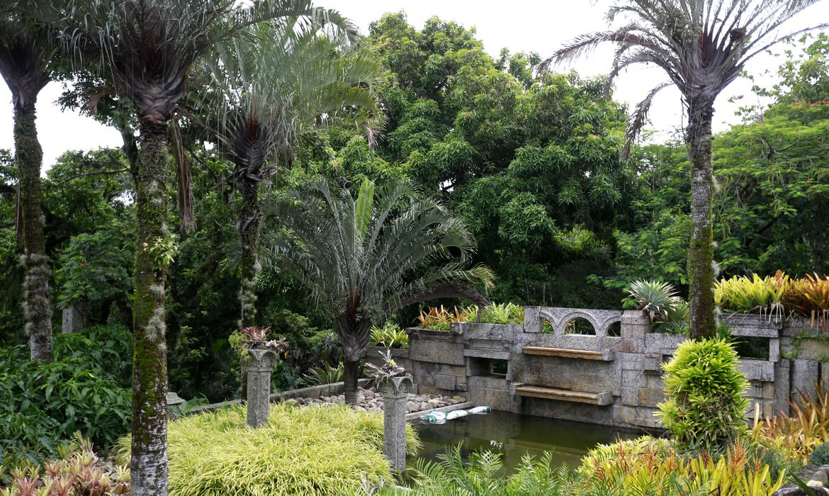 O Sítio Roberto Burle Marx, em Barra de Guaratiba, na zona oeste do Rio de Janeiro, se prepara para a nova fase da candidatura do local a Patrimônio Mundial pela Unesco.