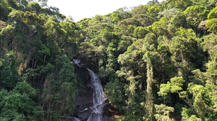 Parque Nacional da Tijuca tem uma série de cachoeiras abertas ao público