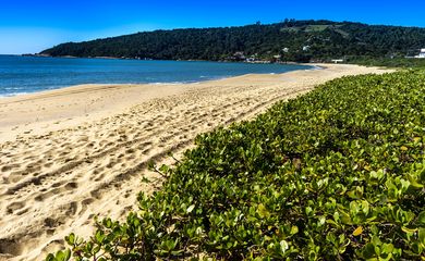 praia de taquaras em Balneário Camboriú