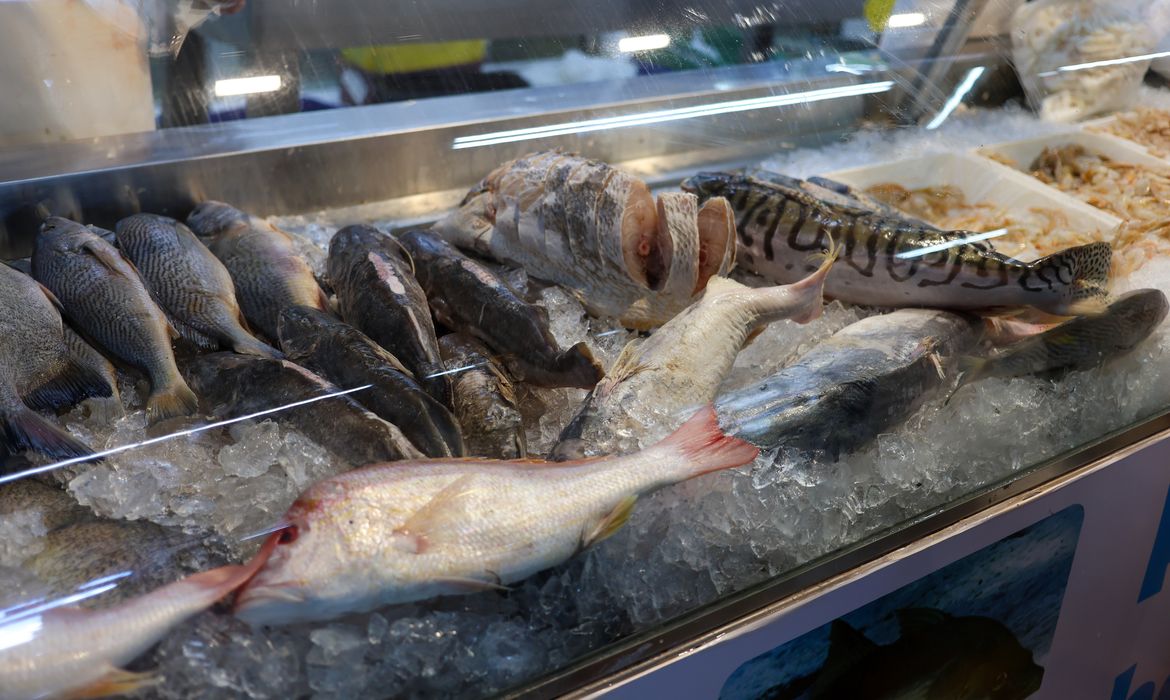 Brasília, 30/03/2024 Pessoas compram peixe na Feira do Guará, cidade satélite de Brasília.  Foto: Fabio Rodrigues-Pozzebom/ Agência Brasil