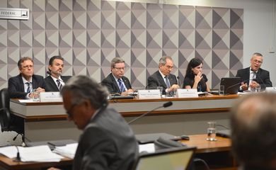 Brasília - Comissão Especial do Impeachment no Senado durante reunião para ouvir especialistas favoráveis ao afastamento da presidenta Dilma Rousseff (Antonio Cruz/Agência Brasil)