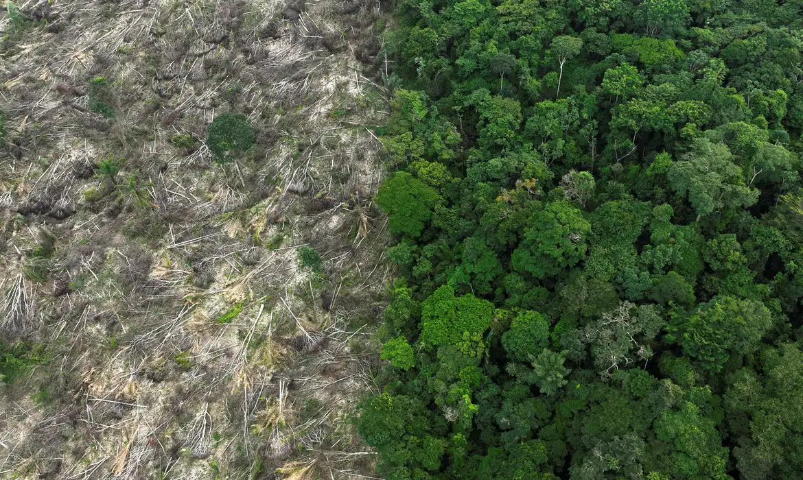 DESMATAMENTO AMAZONIA - FILE PHOTO: An aerial view shows a deforested area during an operation to combat deforestation near Uruara, Para State, Brazil January 21, 2023. REUTERS/Ueslei Marcelino/File Photo