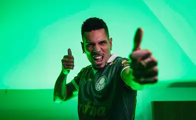 paulinho, palmeiras, futebol