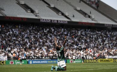 palmeiras, corinthians, brasileiro sub-20, Endrick