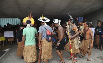 Índios da etnia Pataxó fazem manifestação em frente a Câmara dos Deputados pedindo a demarcação de terras indígenas (Antonio Cruz/Agência Brasil)