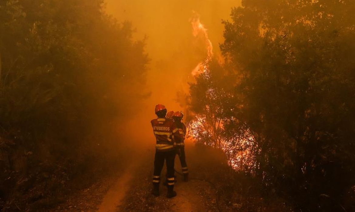 A agência especializada da ONU alerta para novas ondas intensas de calor este ano na Europa, que podem fomentar incêndios, como o ocorrido recentemente em Portugal