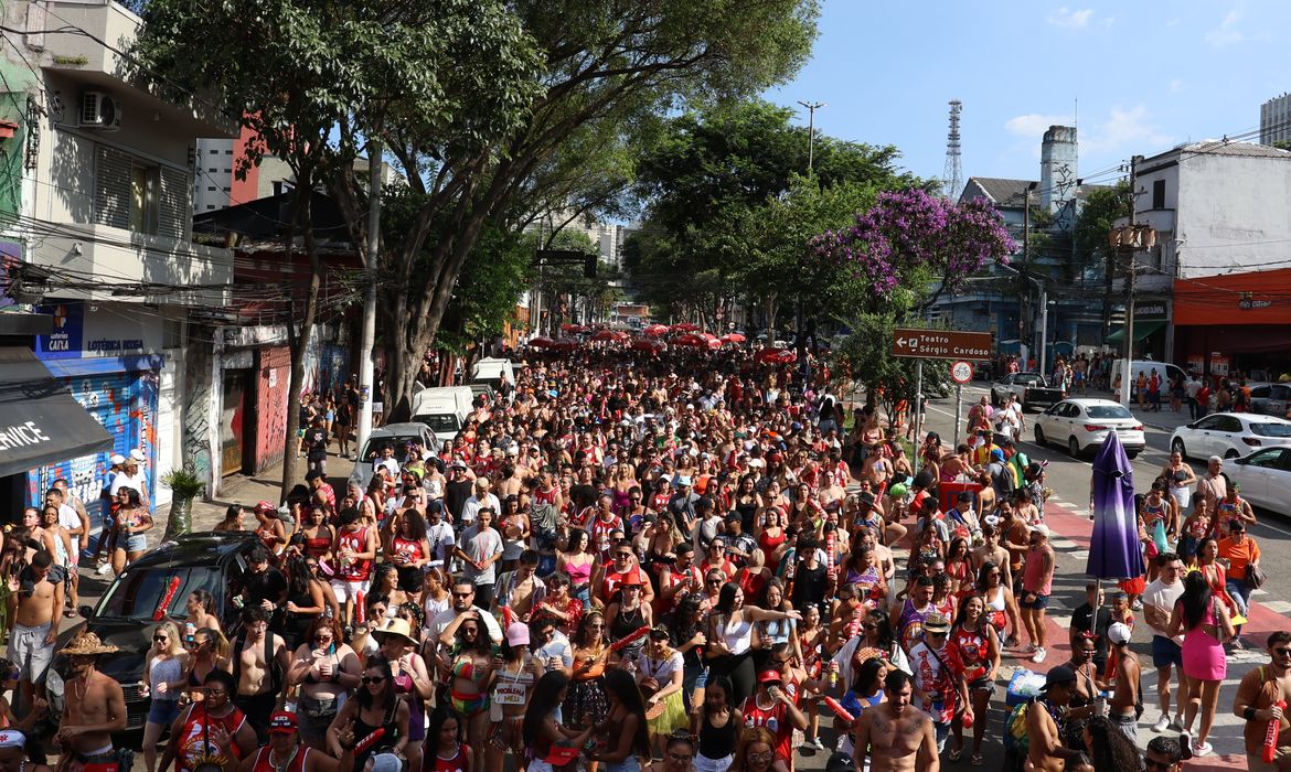 São Paulo (SP), 02/03/2025 - Bloco carnavalesco Os Piores desfila na rua Rui Barbosa, em Bela Vista. Foto: Rovena Rosa/Agência Brasil