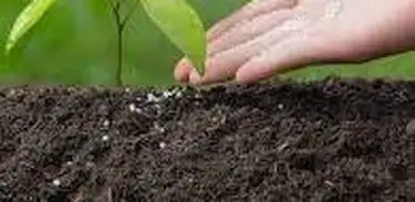 A importância dos fertilizantes não fica só no aumento da produtividade, mas também na reposição de nutrientes