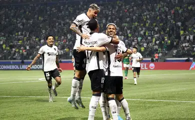 botafogo, palmeiras, libertadores