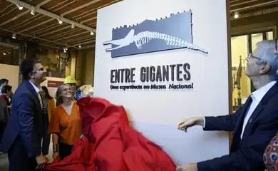Museu Nacional do Rio reabre para exposição sete anos após incêndio