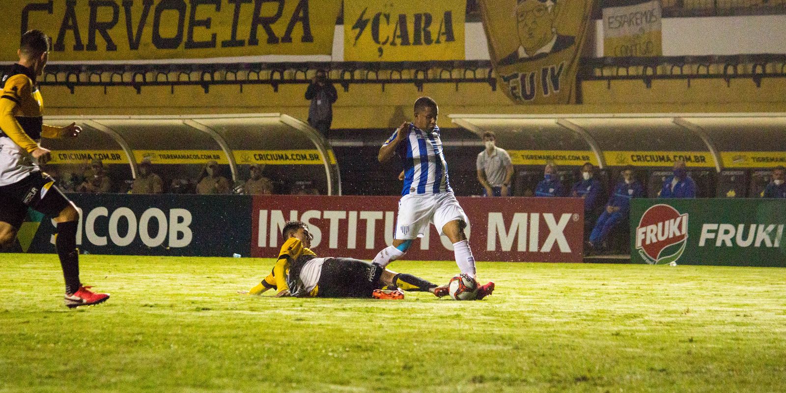 Federação Catarinense de Futebol Virtual