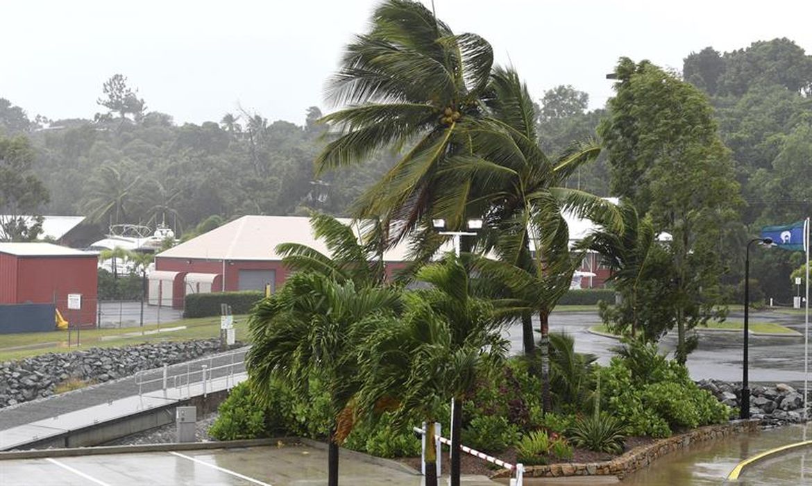 Queensland (Austrália) - Palmeiras se dobram pela força do vento que antecede a chegada do ciclone Debbie em Queensland, Austrália