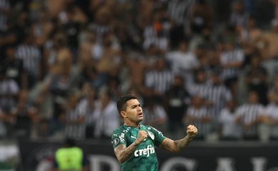 palmeiras, atlético-mg, libertadores