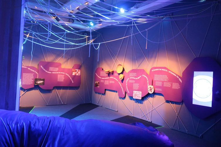 Exposição mostra ao público conexão pelos fungos