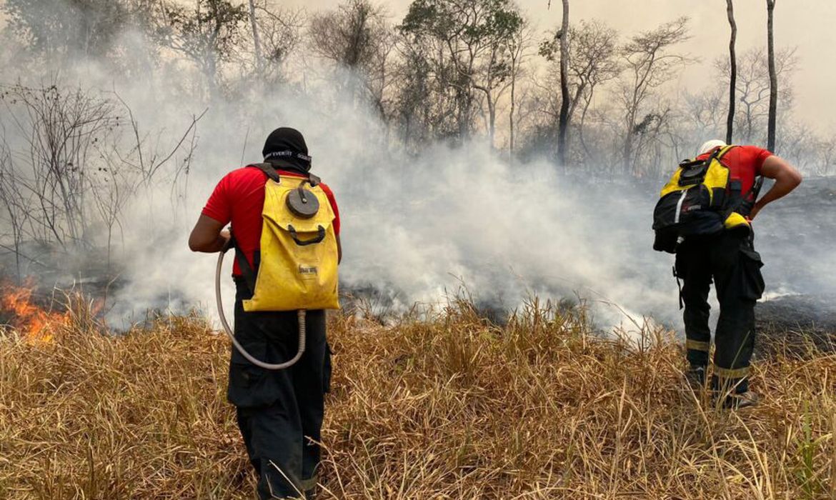 Alvorada do Oeste (RO), 25.08.2024 - Força-Tarefa do Corpo de Bombeiros combate incêndios florestais em Alvorada do Oeste em Rondônia. Foto: CBMRO/Divulgação