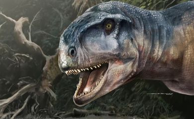 An artist's impression of the Cretaceous Period meat-eating dinosaur Llukalkan aliocranianus that lived about 80 million years ago in the Patagonia region