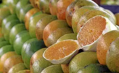Sergipe, 30/07/2025 - Laranjas. Foto: Governo Sergipe/Divulgação