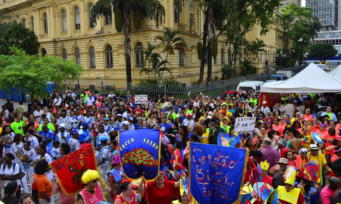 São Paulo - Bloco de carnaval Mais saúde na cidade, na Praça da República (Rovena Rosa/Agência Brasil)