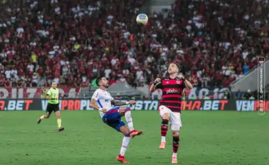 flamengo, fortaleza, brasileiro
