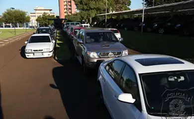 Operação Cavalo de Fogo