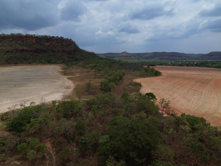Balsas (MA), 09/10/2025 – Lavoura de cultivo de soja avança sobre a vegetação do cerrado na região do Vão do Uruçuí, nos Gerais de Balsas. Foto: Fernando Frazão/Agência Brasil