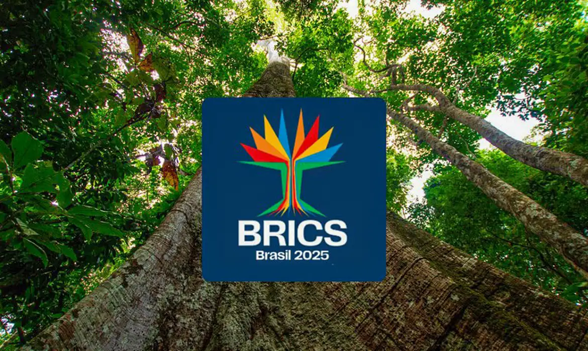 Brasília (DF) 21/12/2024 - Conheça a identidade visual do BRICS Brasil: árvore amazônica traduz objetivos do grupo.
Foto: Secretaria de Comunicação Social/Divulgação