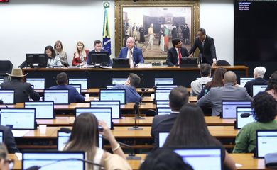 Brasília (DF) 13/08/2025 - Sessão da Comissão de Constituição e Justiça da Câmara dos Deputados. Foto: Vinicius Loures/Câmara dos Deputados