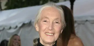 Jane Goodall durante o 2º Prêmio Guardian Anual no Paramount Studios, em Los Angeles, 2004