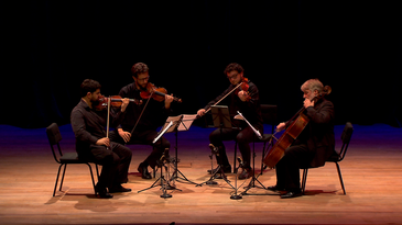 Quarteto de Cordas da UFF celebra Franz Schubert