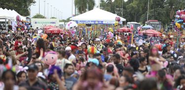 Bloco Baratinha anima a criançada em Brasília