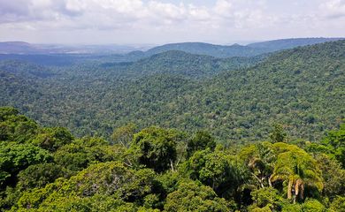 O vice-presidente da República, Hamilton Mourão, e os chefes de missões diplomáticas à Amazônia Oriental, fazem sobrevoo sobre a Floresta Nacional de Carajás e visita à mineradora Vale.