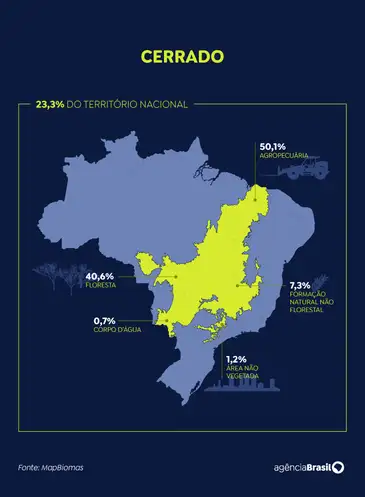 Dia Nacional do Cerrado. Arte 1