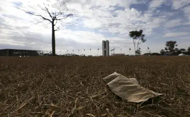 A Defesa Civil declarou estado de alerta no Distrito Federal por causa da baixa umidade do ar que ficou entre 12 e 20% esta semana.