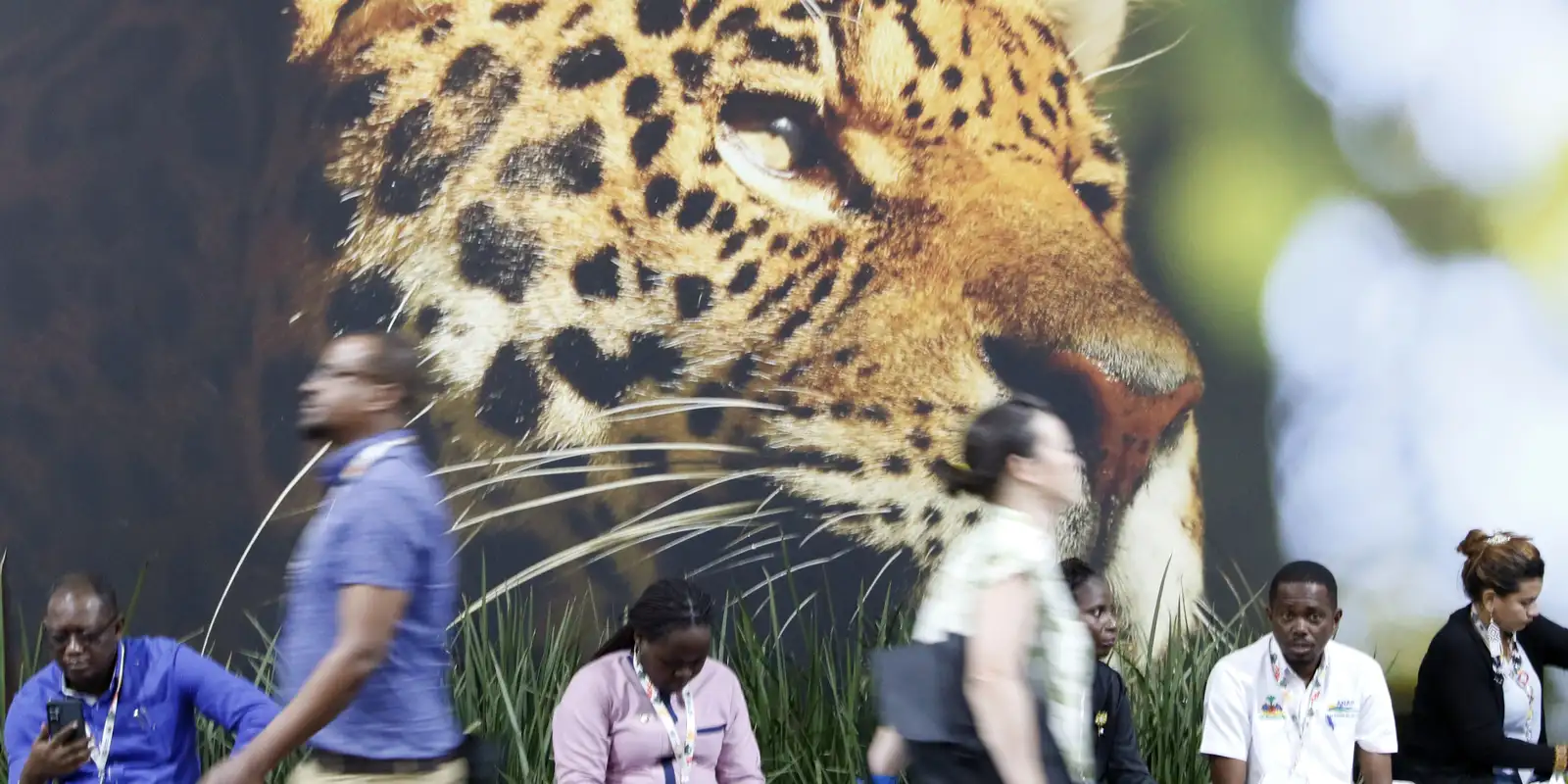 Sociedade civil critica rascunho de documento final da COP30
