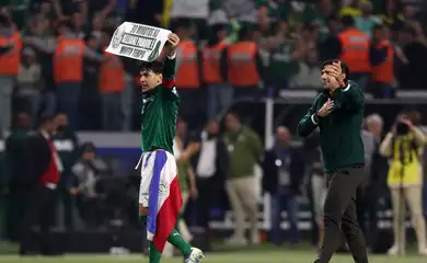 libertadores, palmeiras, ldu