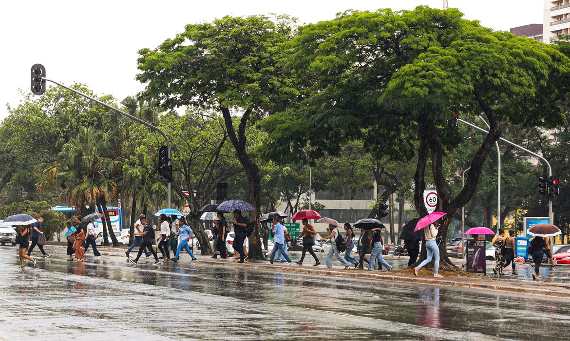 Brasília, (DF), 09/10/2024 -  Chuva na W3 Sul, Setor Comecial.
Foto Valter Campanato/Agência Brasil.
