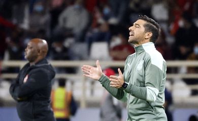 abel ferreira, palmeiras, futebol