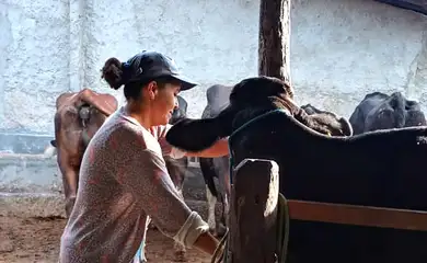 São Paulo SP) - No sertão do nordeste brasileiro, a produtora rural Rafaela Alves conta os desafios com a produção do gado leiteiro. Rafaela e sua filha Ana Luiza, na pequena propriedade de gado leiteiro em Sergipe. Foto: Arquivo Pessoal