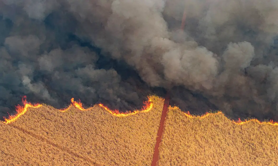 A drone view shows a fire in a sugar cane plantation near Dumon city, Brazil, August 24, 2024. REUTERS/Joel Silva     TPX IMAGES OF THE DAY