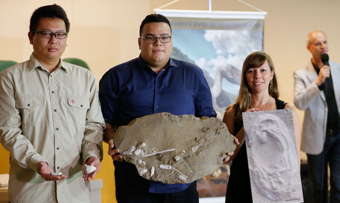Rio de Janeiro - Pesquisadores brasileiros apresentam os detalhes de uma descoberta na China de centenas de restos de ossos e mais de 300 ovos de pterossauros (Fernando Frazão/Agência Brasil)