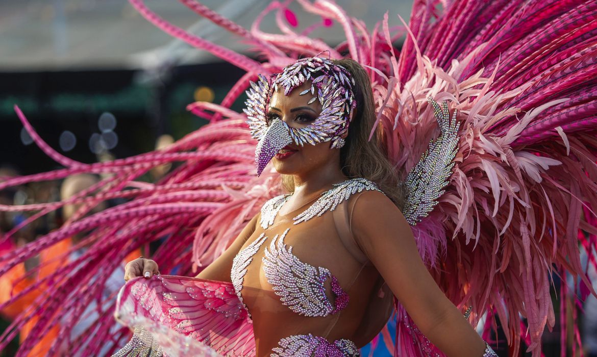 São Paulo (SP) 09/02/2024 - Desfile da Escolas do Grupo Especial no Sambodromo do Anhembi, escola  samba Rosas de Ouro. 
Foto: Paulo Pinto/Agência Brasil