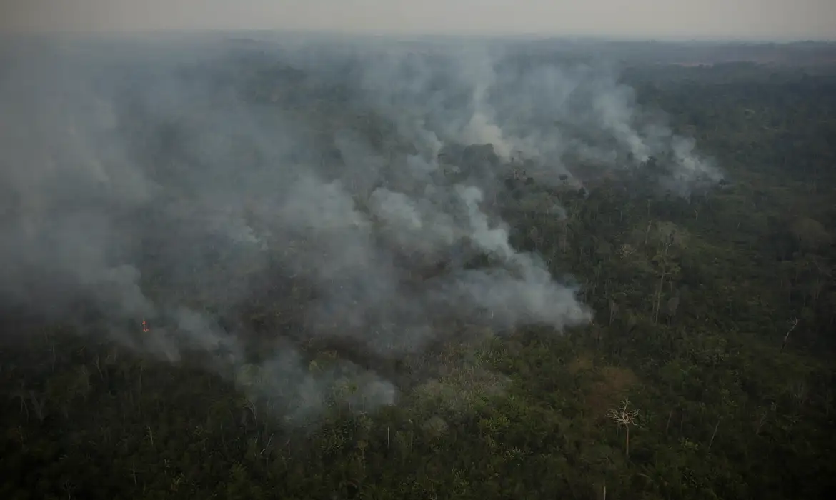 Fumaça de queimadas sobe em floresta tropical na Terra Indígena Yanomami, Roraima, Brasil, 2 de março de 2024. REUTERS/Bruno Kelly