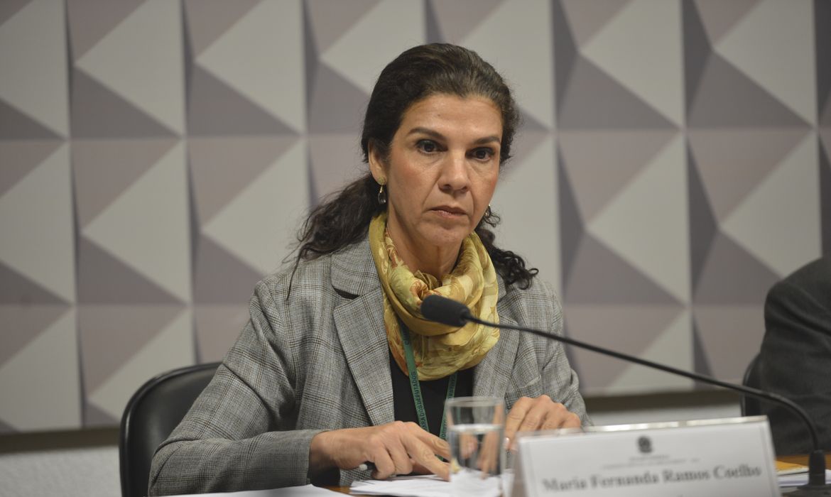 Brasília - Comissão Processante do Impeachment ouve a ex-secretária executiva do Ministério do Desenvolvimento Agrário Maria Fernanda Ramos Coelho (Antonio Cruz/Agência Brasil)