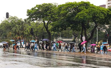 Brasília, (DF), 09/10/2024 -  Chuva na W3 Sul, Setor Comecial.
Foto Valter Campanato/Agência Brasil.