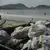 Lixo no mar