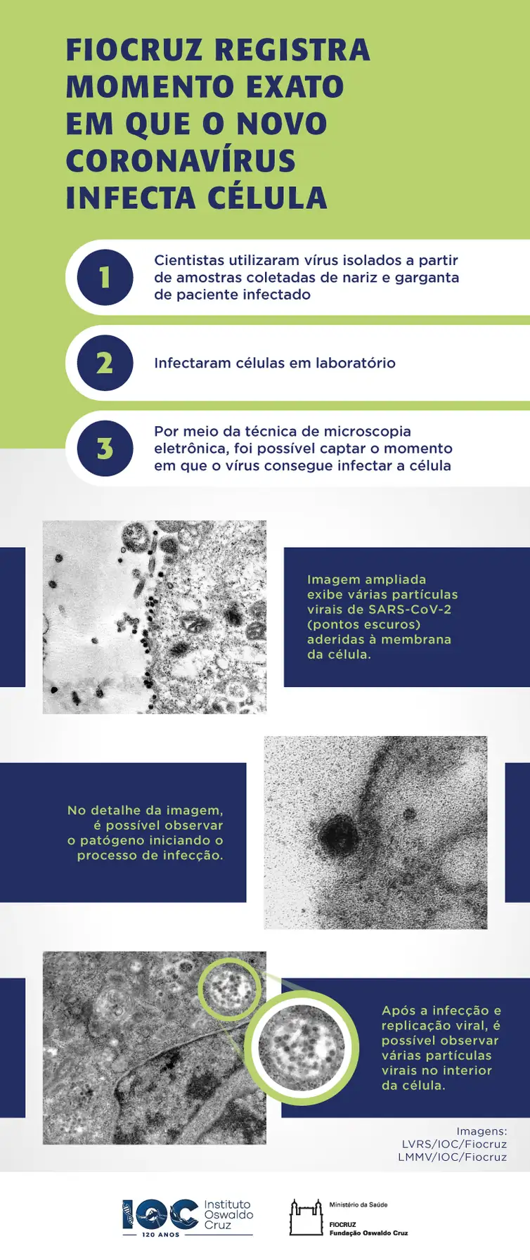 Fiocruz registra momento em que coronavírus infecta célula.