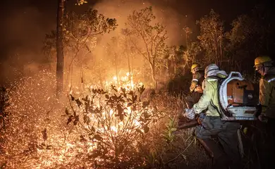 Brasília (DF) 12/09/2024 - Brigadistas do Prevfogo/Ibama e ICMBio combatem incêndios florestais na Terra Indígena Tenharim/Marmelos, no Amazonas
Foto: Mayangdi Inzaulgarat/Ibama